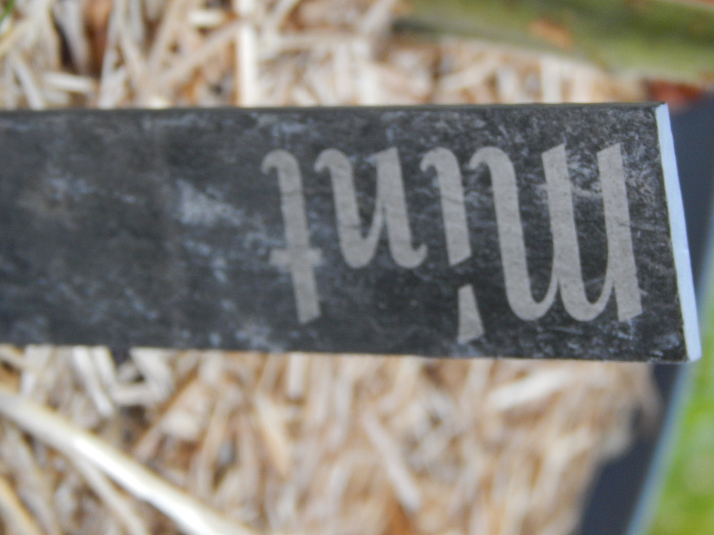 Slate Garden markers