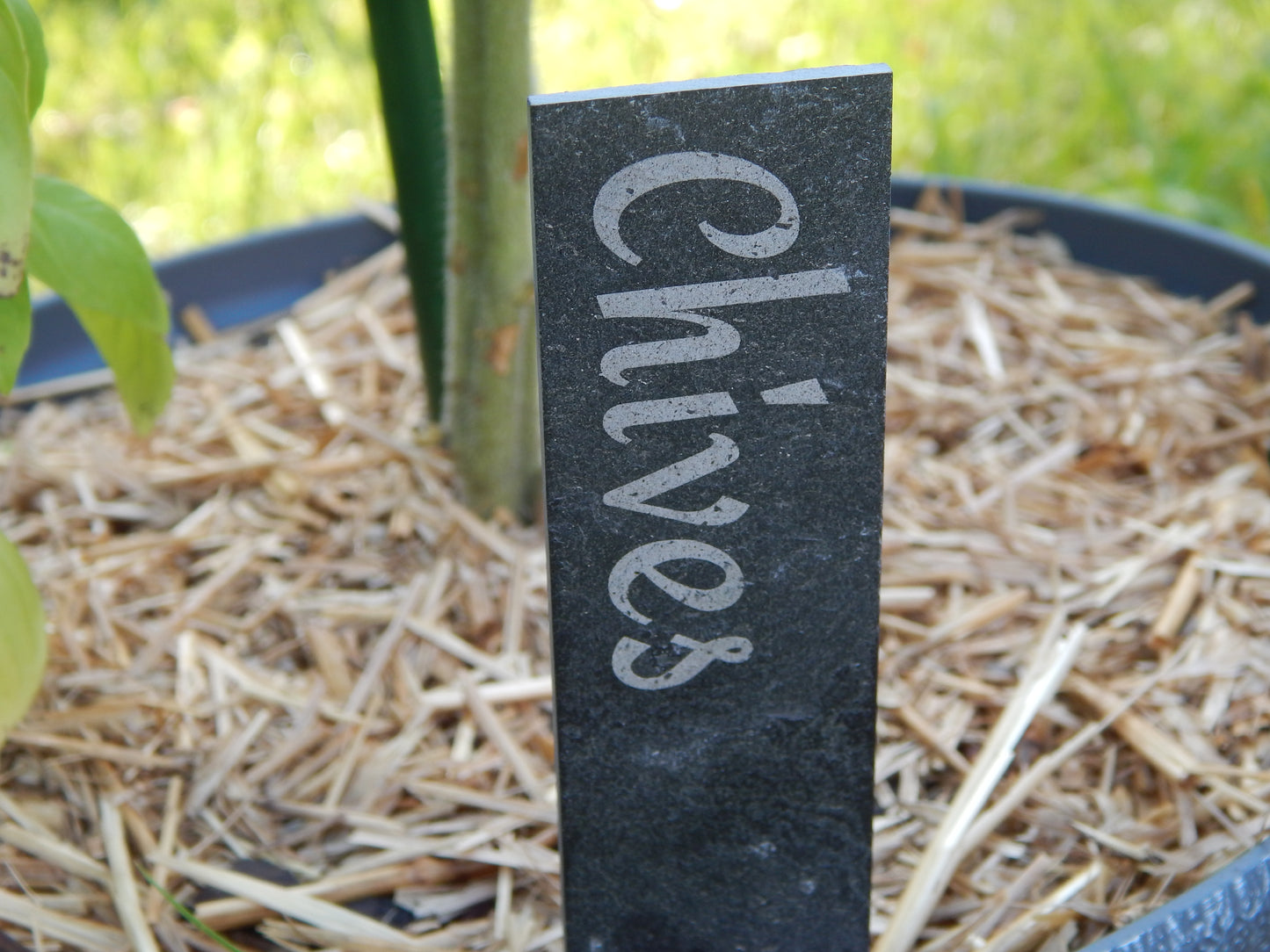 Slate Garden markers