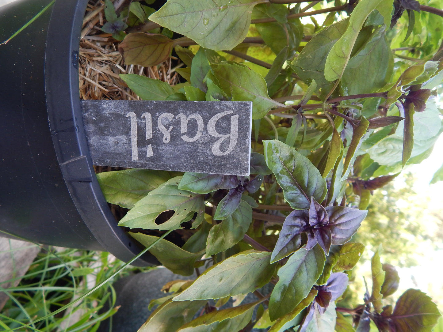 Slate Garden markers